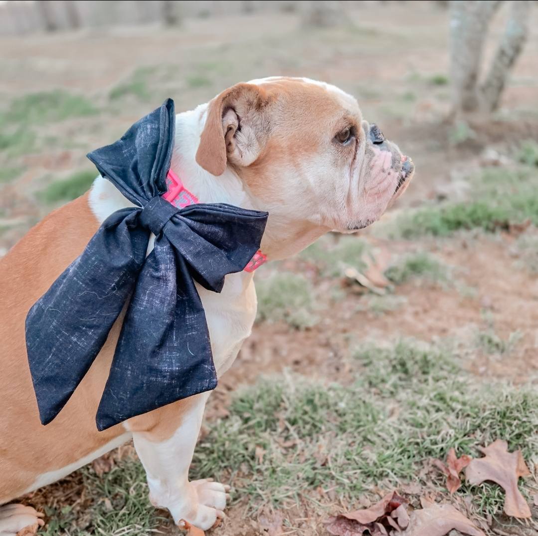Orion Pet Bandana Bundle PDF